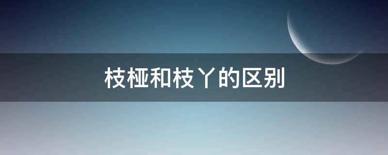 枝桠和枝丫的区别 什么是枝桠