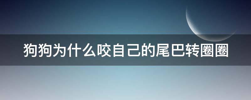 狗狗为什么咬自己的尾巴转圈圈（狗狗为什么咬自己的尾巴转圈圈）