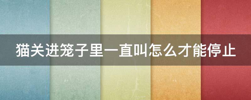 猫关进笼子里一直叫怎么才能停止 幼猫半夜叫需要理他吗