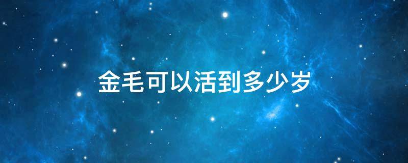 金毛可以活到多少岁（金毛能够活多少岁）