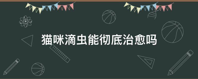 猫咪滴虫能彻底治愈吗 猫咪滴虫治不好