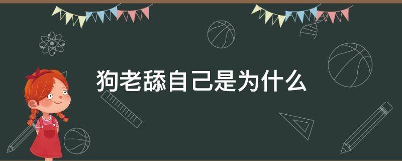 狗老舔自己是为什么 狗狗为啥老舔自己