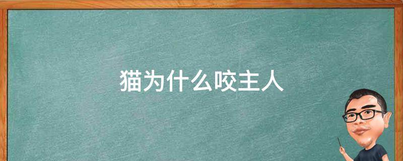猫为什么咬主人 猫为什么咬主人的头发