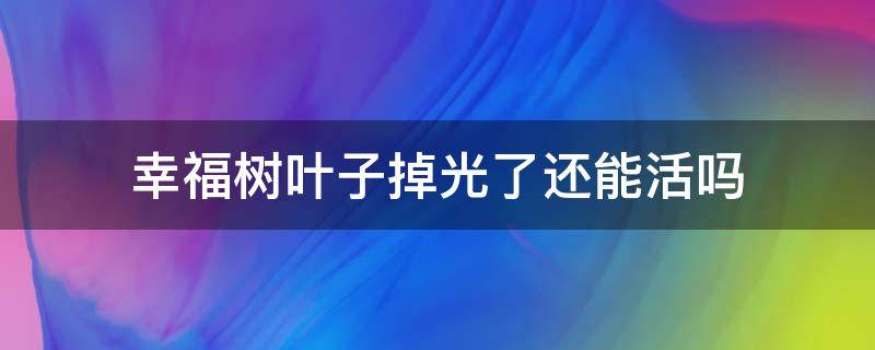 幸福树叶子掉光了还能活吗 幸福树叶子掉光能活吗干复烂