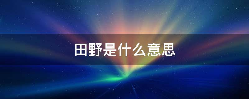 田野是什么意思 诗和远方的田野是什么意思