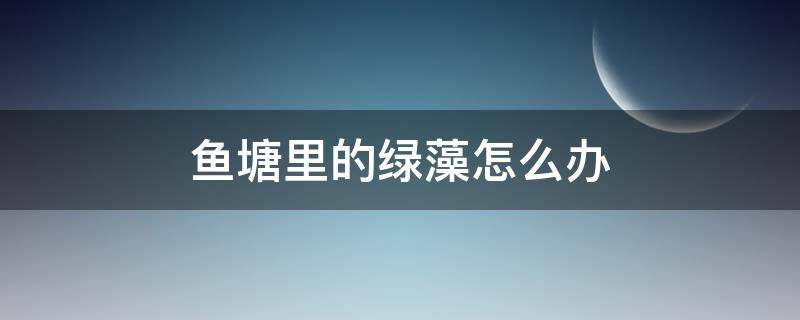 鱼塘里的绿藻怎么办 鱼塘里有红藻和绿藻怎么处理