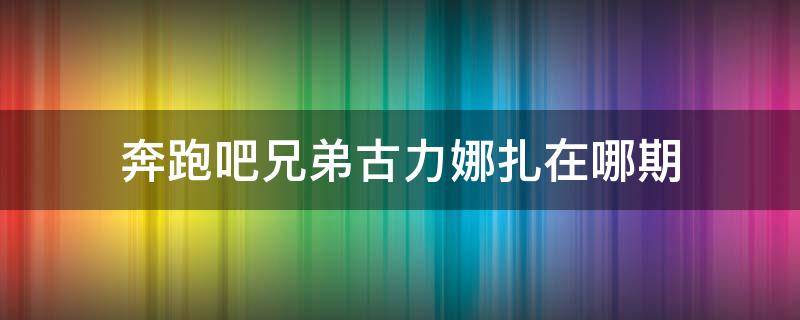 奔跑吧兄弟古力娜扎在哪期（奔跑吧兄弟古力娜扎谢依霖是哪一期）