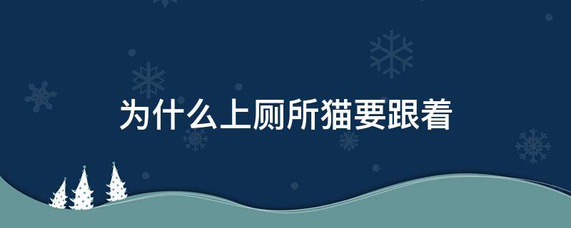 为什么上厕所猫要跟着 为什么上厕所猫咪一定要跟着