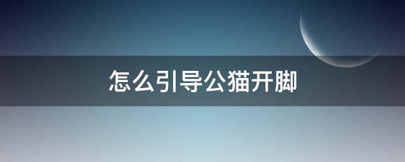 怎么引导公猫开脚（如何帮助公猫开脚）