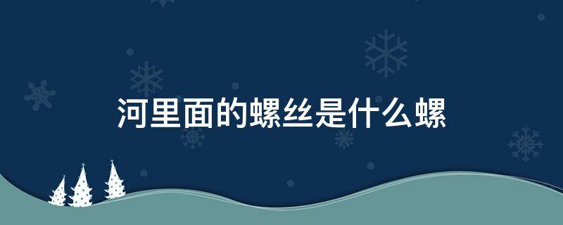 河里面的螺丝是什么螺（河里边的螺是什么螺）