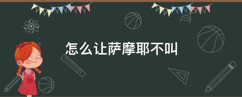 怎么让萨摩耶不叫 萨摩耶不乱叫