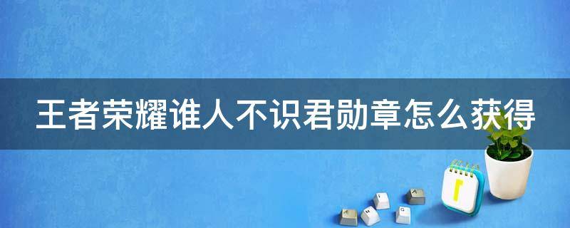 王者荣耀谁人不识君勋章怎么获得 王者谁人不识君突然没了