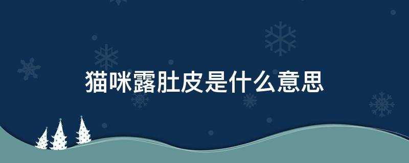 猫咪露肚皮是什么意思（猫露肚皮是什么表现）