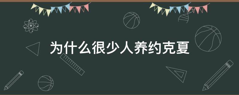 为什么很少人养约克夏 为什么很少人养约克夏有什么缺点