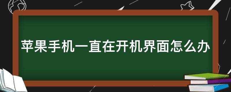 苹果手机一直在开机界面怎么办（苹果手机一直在开机界面怎么办呢）