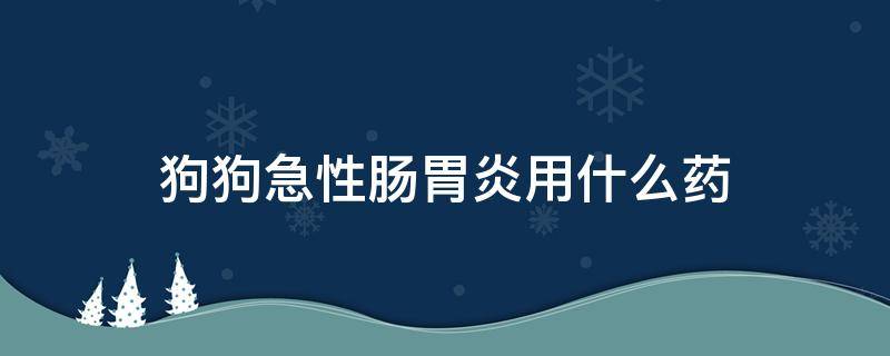 狗狗急性肠胃炎用什么药（狗狗急性胃肠炎吃什么药）