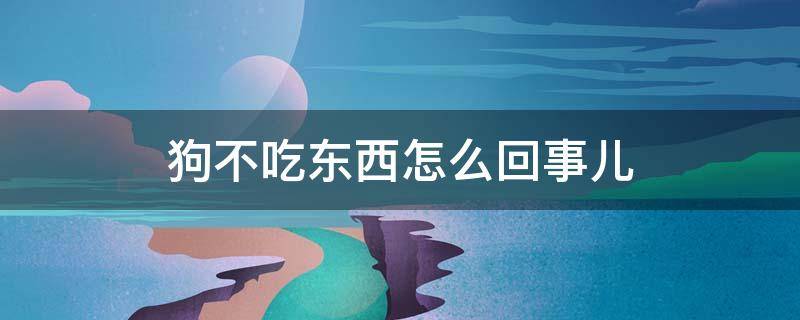 狗不吃东西怎么回事儿（狗不吃东西怎么回事儿?拉的黄色的尿液）