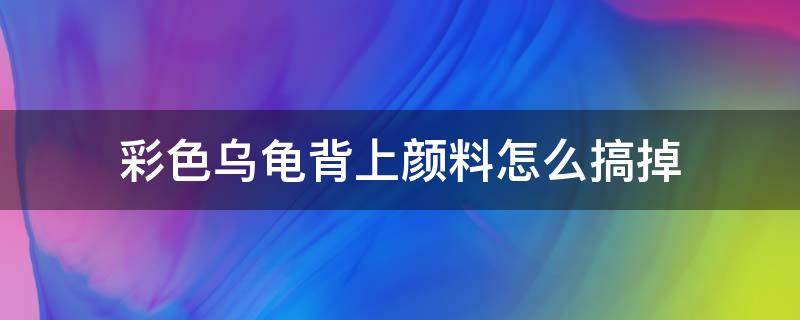 彩色乌龟背上颜料怎么搞掉 乌龟身上有彩色颜料怎么弄掉