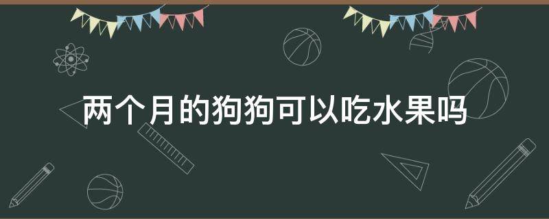 两个月的狗狗可以吃水果吗（两个半月的狗狗可以吃水果吗）