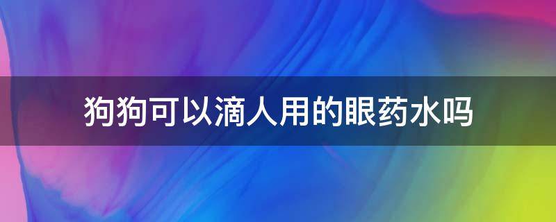 狗狗可以滴人用的眼药水吗（狗狗能用人滴的眼药水吗）