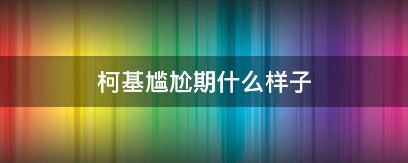 柯基尴尬期什么样子（柯基的尴尬期是什么样子的）