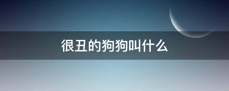 很丑的狗狗叫什么（很丑的狗狗叫什么斗牛犬）