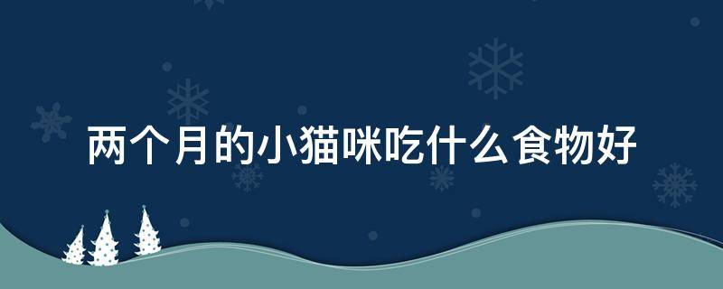 两个月的小猫咪吃什么食物好 两个月小猫吃什么食物比较好