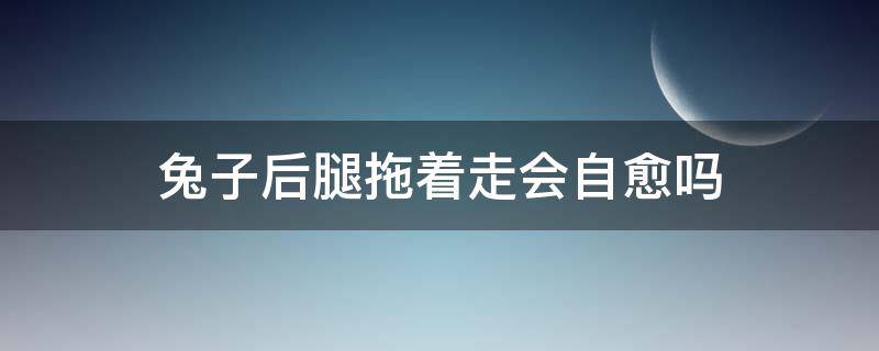 兔子后腿拖着走会自愈吗（兔子后腿拖着走是怎么回事?）