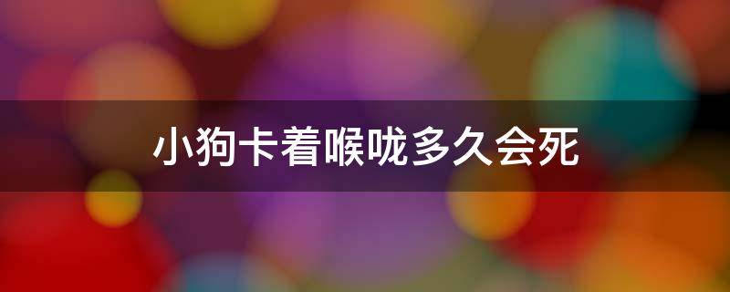 小狗卡着喉咙多久会死 小狗卡喉咙后是什么状态