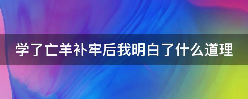 学了亡羊补牢后我明白了什么道理（学了亡羊补牢,我明白了）