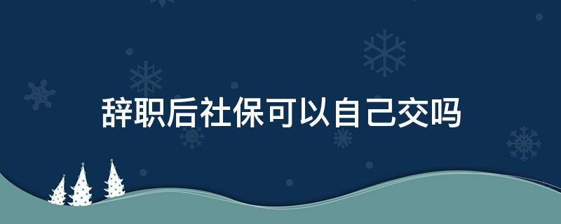 辞职后社保可以自己交吗（社保辞职了可以自己交吗?）