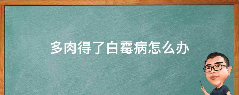 多肉得了白霉病怎么办（多肉长了白霉病怎么治）