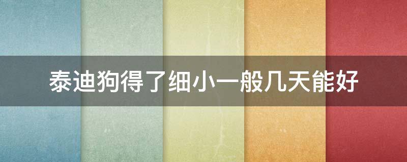 泰迪狗得了细小一般几天能好 泰迪幼犬得了细小能活几天?