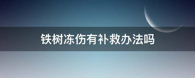 铁树冻伤有补救办法吗 铁树冻了还能有补救办法