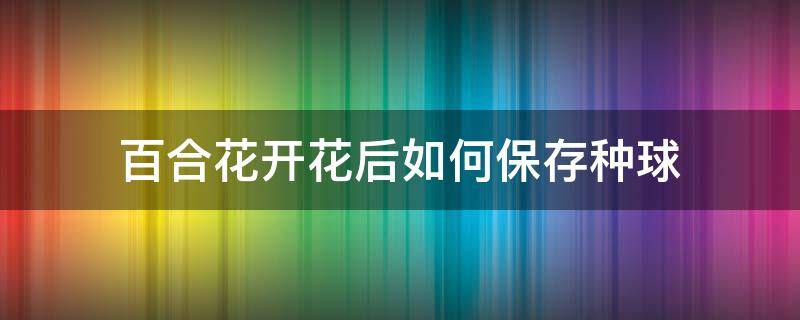 百合花开花后如何保存种球（百合花种球保存法和时间）