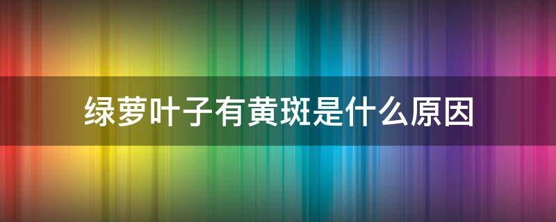 绿萝叶子有黄斑是什么原因 绿萝叶子发黄有斑是什么原因