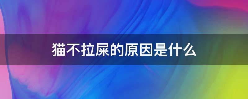 猫不拉屎的原因是什么 两个月幼猫不拉屎的原因是什么