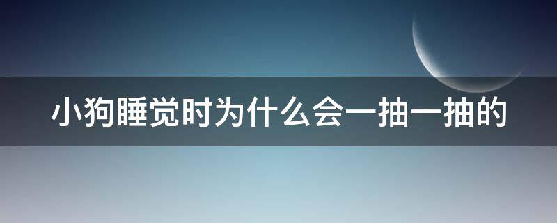 小狗睡觉时为什么会一抽一抽的 小狗睡觉时抽搐还哼唧