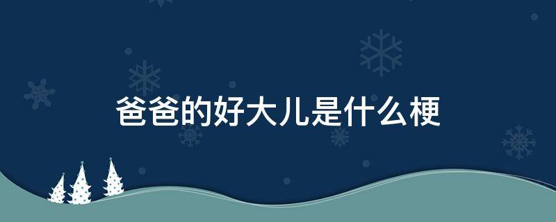 爸爸的好大儿是什么梗（爸爸的好大儿是什么梗那些年）