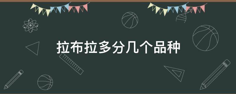 拉布拉多分几个品种 拉布拉多一共有几个品种