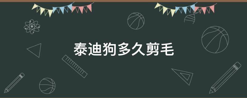 泰迪狗多久剪毛 泰迪什么时候剪毛