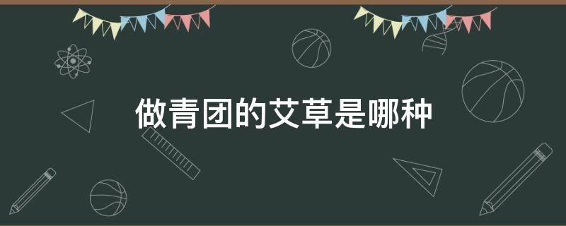 做青团的艾草是哪种 做青团的艾草是哪种幼苗