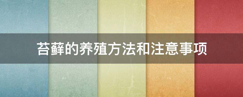 苔藓的养殖方法和注意事项（鹿角苔藓的养殖方法和注意事项）