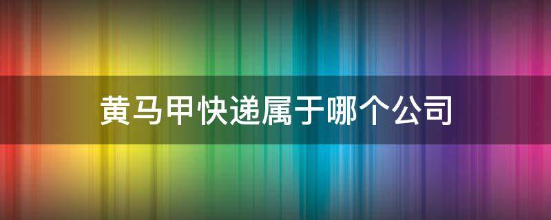 黄马甲快递属于哪个公司 黄马甲快递属于哪个快递公司