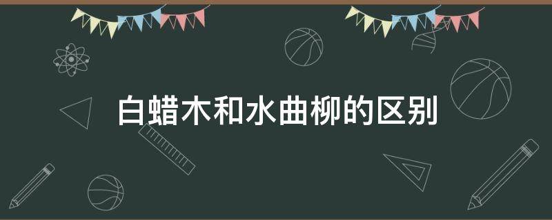 白蜡木和水曲柳的区别（美国白蜡木和水曲柳的区别）