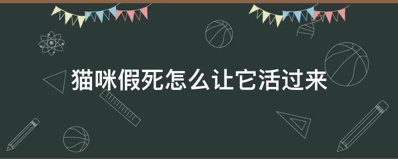 猫咪假死怎么让它活过来（猫咪假装死）