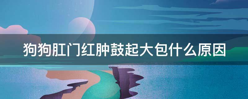 狗狗肛门红肿鼓起大包什么原因 狗狗肛门红肿鼓起大包什么原因也不拉屎不尿