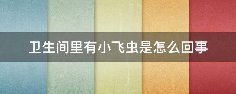 卫生间里有小飞虫是怎么回事 卫生间里很多小飞虫是怎么回事