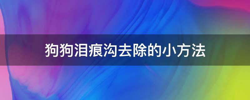 狗狗泪痕沟去除的小方法 狗狗的泪沟怎么去除