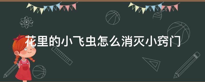 花里的小飞虫怎么消灭小窍门 花里有小飞虫怎么消灭